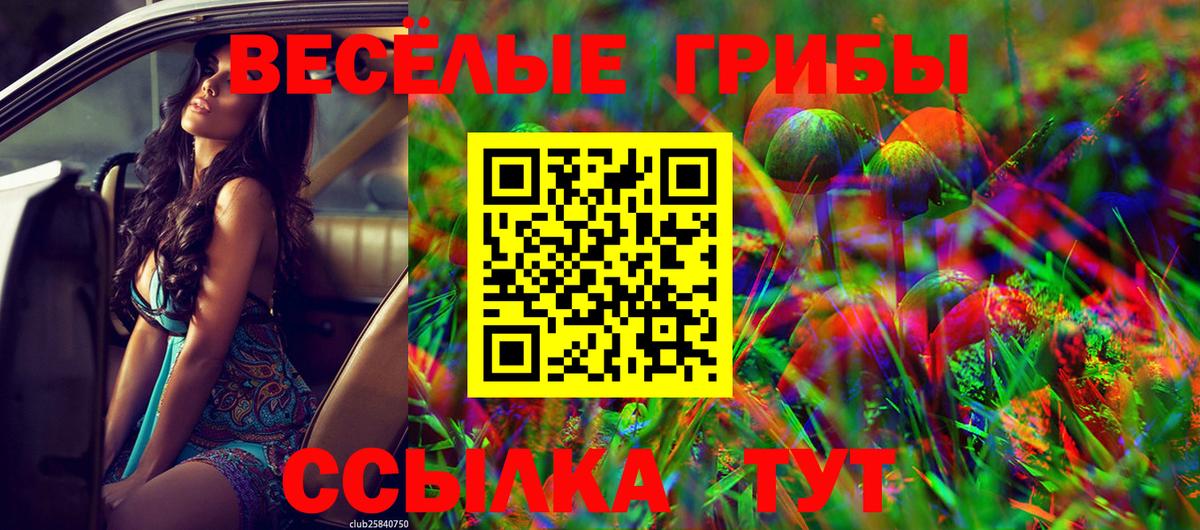 Галлюциногенные грибы ЛСД Каменск-Уральский